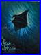 2_Jack_Johnson_Concert_Posters_BGP_289_Signed_Venue_Specific_Lake_Tahoe_Poster_01_nowl