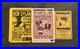 BOB_DYLAN_original_CONCERT_POSTERS_lot_of_3_2000_2001_2004_01_qnei
