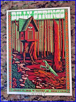 Billy Strings Concert Poster