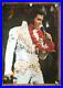Elvis_Presley_Las_Vegas_1975_Original_Personality_Poster_Vintage_Concert_01_xw