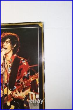 Original 1976 Rolling Stones Jagger/Richards Live Concert Poster, Rinnig R. P. #4