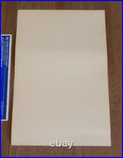 Original 1980 Grateful Dead Mississippi River Festival Concert Poster