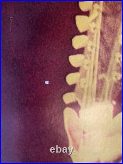 Original Jimmy Page Concert Poster Led Zeppelin -Big O Poster Printed In Eng