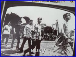 Original Oasis 1995 Poster-San Francisco CA- MINT 1st Print F176