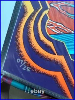 RARE Gov't Mule Dark Side of the Mule Boston 2023 Concert Poster