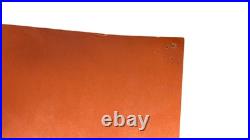 Sopwith Camel 1967 Neon Rose Moscoso Promo Concert Poster Original 1st Print