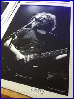 The Grateful Dead Concert Poster Art Print IA 1979 Jarry Garcia